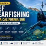 Beginner practicing Reef Spearfishing in the clear waters of Baja California Sur