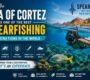 Guided-snorkeling-tour-showcasing-vibrant-marine-life-in-Baja-California-Sur.